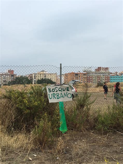 Gran jornada de limpieza en el BUM Bosque Urbano Málaga