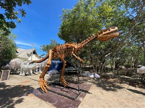 Cear Vai Ganhar Maior Parque De Dinossauros Da Am Rica Latina