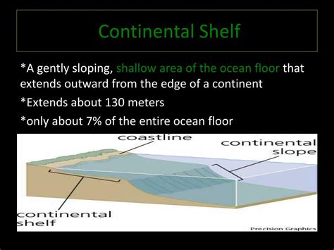 Ppt Features Of The Ocean Floor Powerpoint Presentation Free