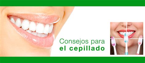 Consejos Para Cepillar Los Dientes Clínica Dental Dr Molina