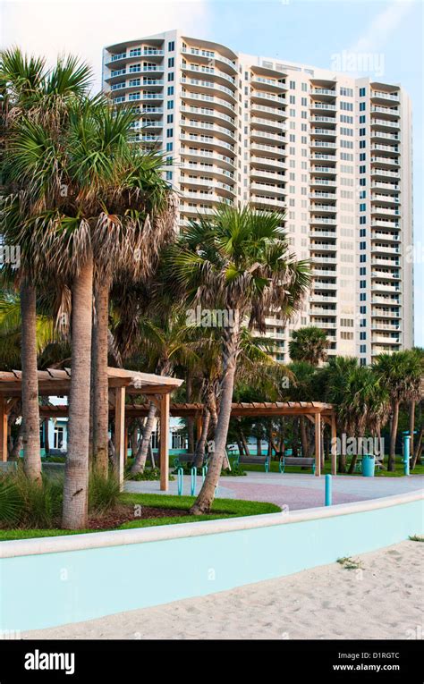 Palm Tree And High Rise Condominium On Singer Island Riviera Beach