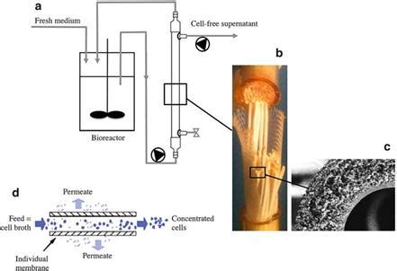 Tangential Flow Filtration TFF And Alternating Tangential Flow