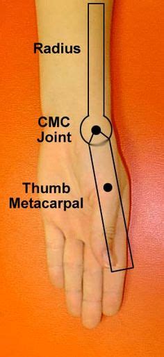 Mmt Goniometry On Pinterest Carp Extensions And Ranges