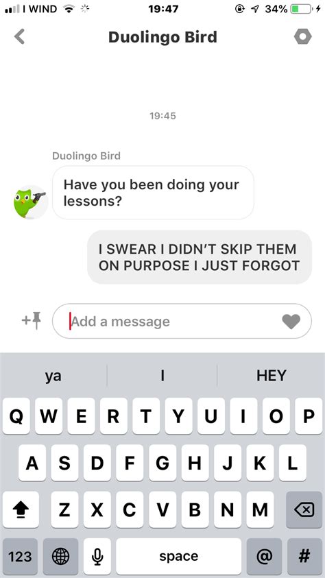 The Duolingo Bird Found Me Pt1 Duolingo Funny  Cool S