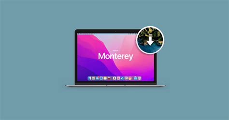 C Mo Volver A Una Versi N Anterior Desde Macos Monterey