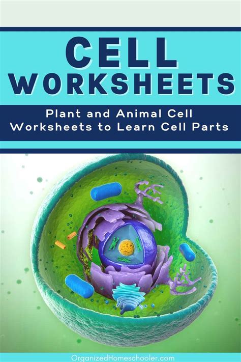 Plant Cells Worksheets Worksheets Library