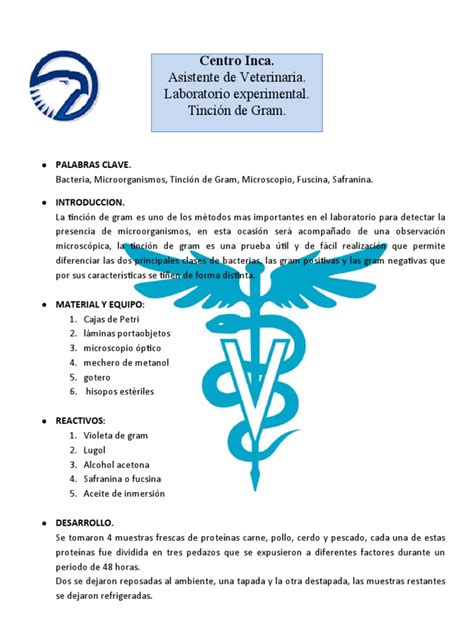 Informe Tincion De Gram Pdf Tinción Biología