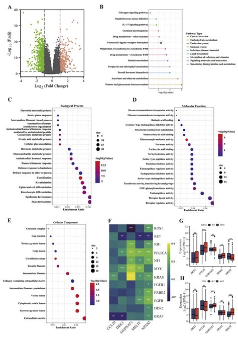 Explore The Biological Functions Of RiskScore Using The TCGA LUAD