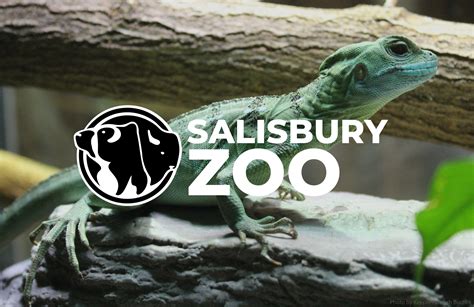 Salisbury Zoo Announces Rebranding - SBJ