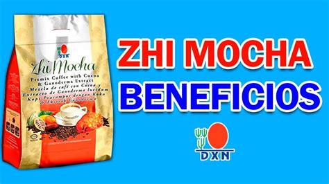 Zhi Mocha Dxn Beneficios Para Que Sirve Propiedades Como Tomarlo