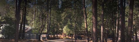 Gold Country Campground Resort Pine Grove Rv Camping