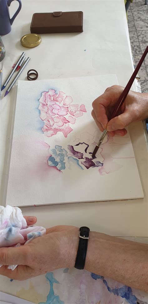 Aquarellkurs Thema Hortensien Atelier Malschule Mesch Osnabr Ck