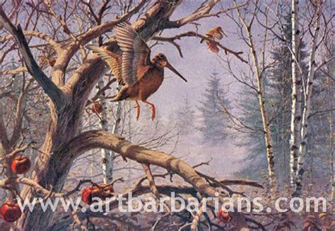 Wildlife Art Prints Plus Original Paintings With A Wide Selection From Located