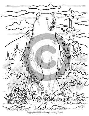 Grizzly Bear Coloring Page | Bucky's Hunting Tips