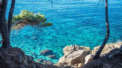 Playa De Llucalcari Una Cala Escondida Junto A Dei