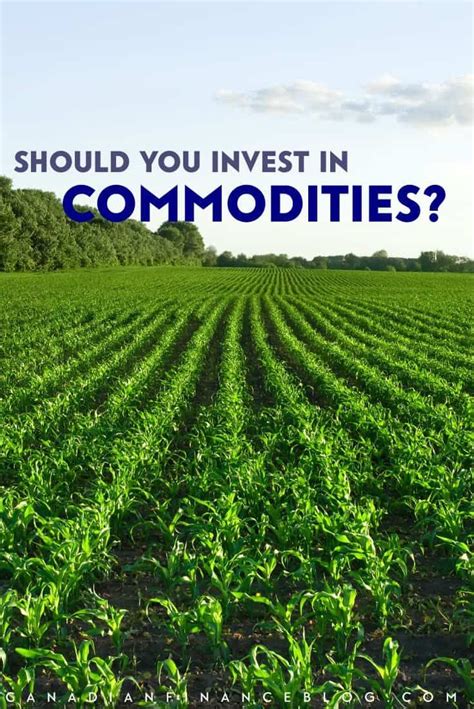 Commodities Trading Should You Invest In Commodities Investing