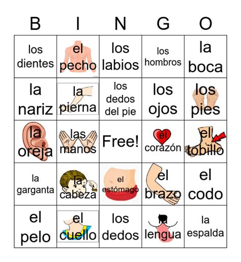 Las Partes Del Cuerpo Bingo Card Descubra O Emocionante Mundo Das