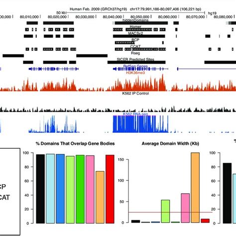 Evaluating Domain Widths With H3k36me3 Chip Seq Data A A Ucsc Genome