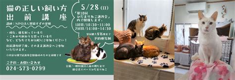 5月28日「第10回ひだまりねこ譲渡会」開催 福島市で猫の里親さまを募集（ふくしまニュースweb ） 20230519金 1200