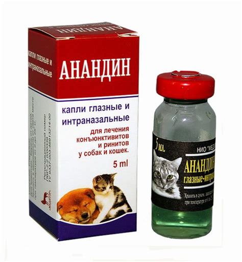 Анандин для кошек: инструкция по применению и отзывы, капли в нос, мази ...