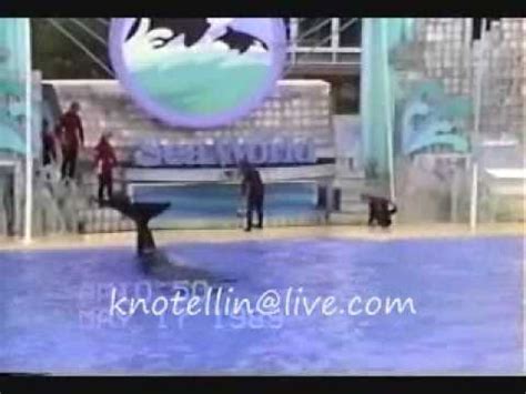 Kandu V and baby Orkid Shamu Show 1989 SeaWorld AM Educational for ...