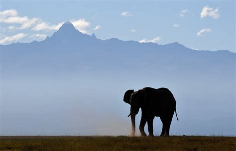 Mount Kenya National Park Stunningtravel