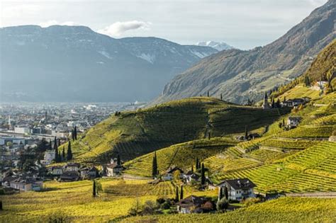 St Magdalena und Stadt Bozen Südtirol Wein