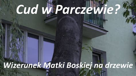 Cud W Parczewie Wizerunek Matki Boskiej Na Drzewie YouTube