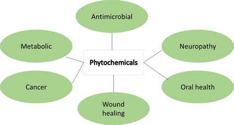 Medicinal Properties Of Phytochemicals And Their Production Intechopen