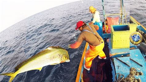 Pesca En Alta Mar Con Caña Pesca Información