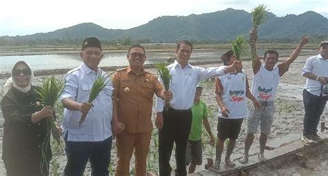 Kunker Ke Palopo Mentan RI Salurkan Bantuan Kepada Petani INDEKS MEDIA