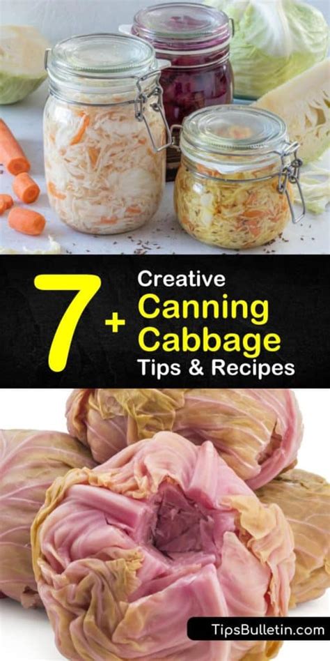 7+ Creative Canning Cabbage Tips & Recipes