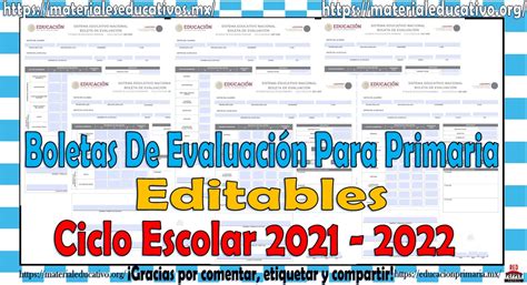 Boletas de evaluación de todos los grados de primaria editables ciclo