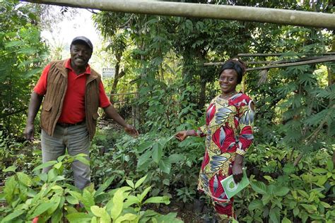 Cameroon: Trees, Water and Endangered Wildlife — TreeSisters