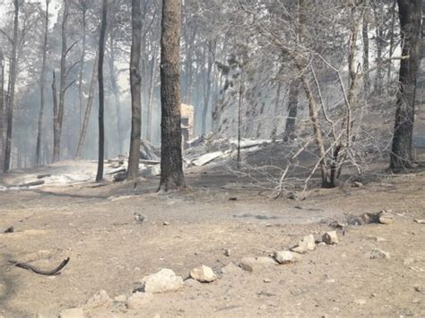 Incendios En Las Sierras De Córdoba 5 Mil Hectáreas Fueron Arrasadas