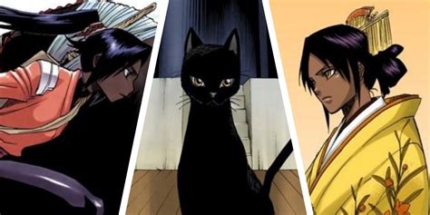 Bleach: 10 Things About Yoruichi That Make No Sense