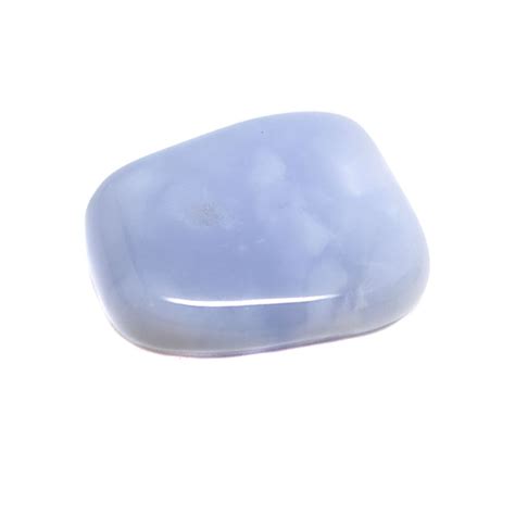 Blue Chalcedony Palm Stone The Fossil Cartel