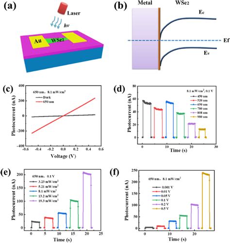 Optoelectronic Properties Of The Wse Flake Photodetector A