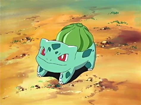 Bulbasaur Poohs Adventures Wiki Fandom Powered By Wikia