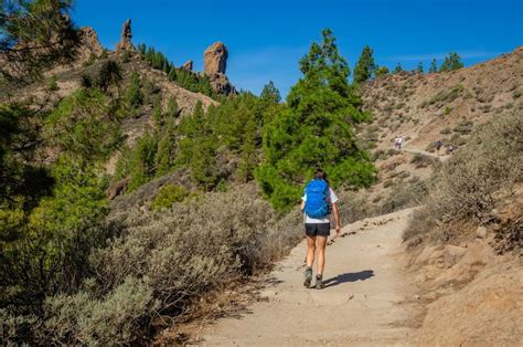 5 Hikes in Gran Canaria that Every Traveler will Love