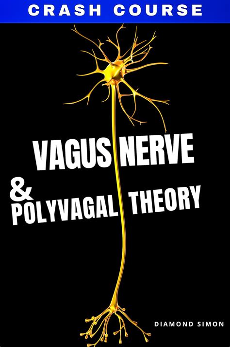 Vagus Nerve And The Polyvagal Theory Ebook By Daimond Simon Epub Book