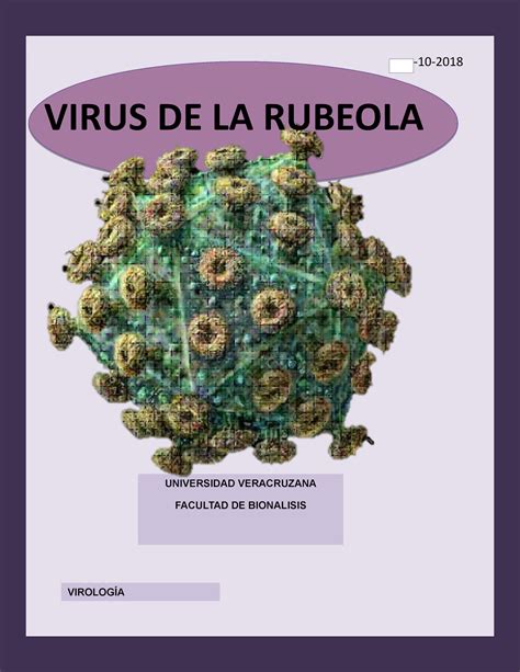 Virus De La Rubeola 10 Virus De La Rubeola Universidad Veracruzana