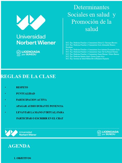 Determinantes De La Salud Pdf Promoción De La Salud Salud Pública