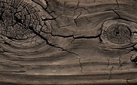 Reasons To Choose Reclaimed Wood Rocky Mountain Reclaimed