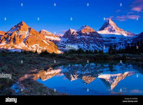 Mt Assinibone At Sunset Matterhorn Of The Rockies Mt Assiniboine Provincial Park Canadian