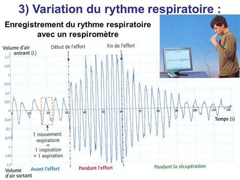 Modification De L Organisme L Effort Svt College