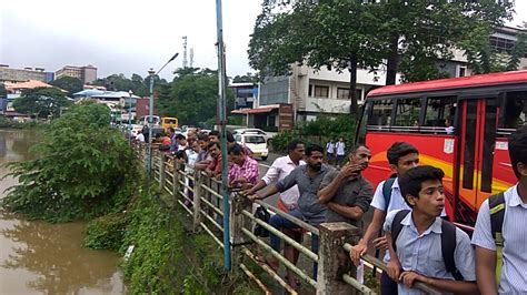 Kerala Monsoon Flood Video from River View Road Pala - YouTube