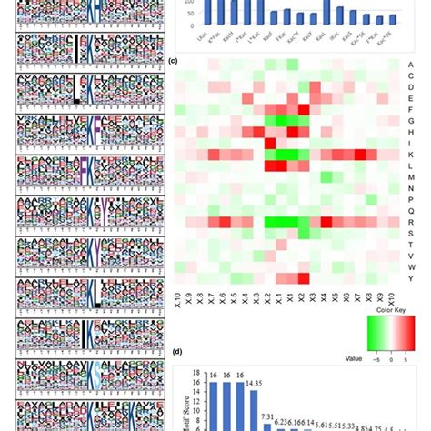 Interaction Networks Of Acetylated Proteins In Brenneria Nigrifluens