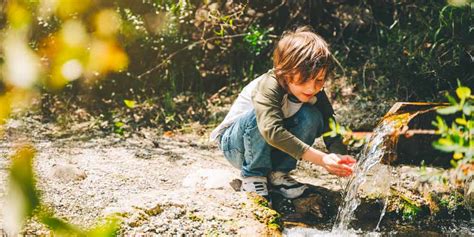 Salvaguardia Dell Ambiente Semplici Gesti Per Risparmiare Acqua