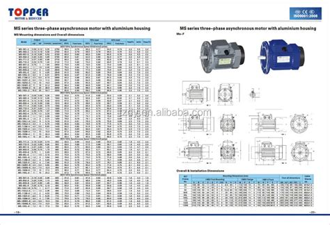 Combination Of Three Phase Motor And NMRV Worm Reducer Three Phase